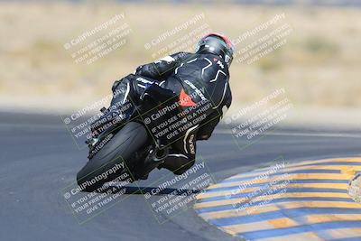 media/May-13-2023-SoCal Trackdays (Sat) [[8a473a8fd1]]/Turn 11 Backside (945am)/